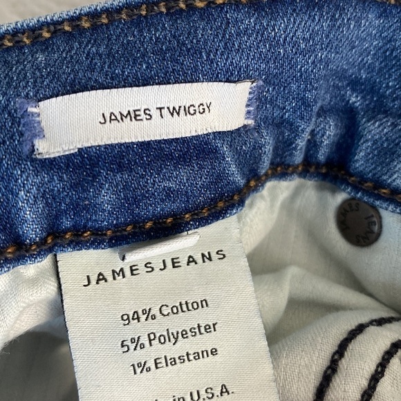 James Jeans Twiggy Throwback skinny jeans raw hem size 26 - Picture 7 of 10